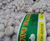 /product-detail/china-jinxiang-garlic-price-929328206.html