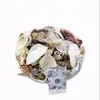 Single Shells or Assorted Sea Shell Natural Packed By Net Bag or Kraft Box 350g / pc, 400g/ pc