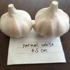 /product-detail/fresh-white-garlic-price-fresh-peeler-garlic-bulk-in-indonesia-60767491182.html
