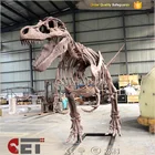 Model Skeleton Dinosaur Skull Model Life Size Dinosaur Skeleton For Dinosaur