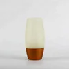 Huasen Best Selling egg shaped oval clear Ivory Beige Colorful Customized Glass Vase