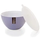 Double Walled Melamine Salad Bowl with Plastic Cover