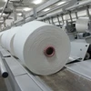 24s Raw White 100% Polyester Spun Yarn