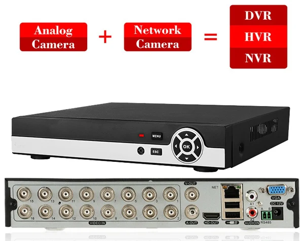 HTB1GSr7SpXXXXaDXFXXq6xXFXXXL