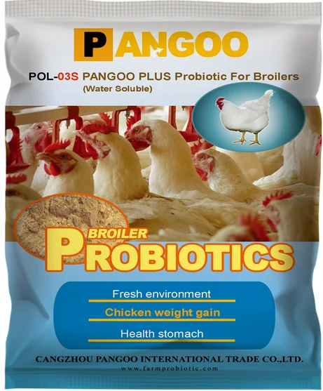 Probiotics In Poultry Pdf