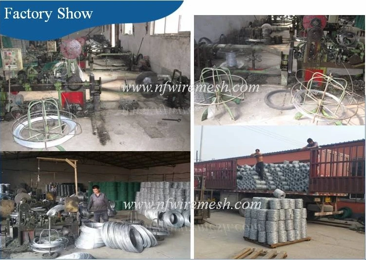 Direct Supplier Against Theft Having Stock Hot Galvanized Barbed Wire Iron Wire for Sale (Guangzhou Factory)