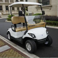Electric go kart for adults two seater Sightseeing golf car mini hunting