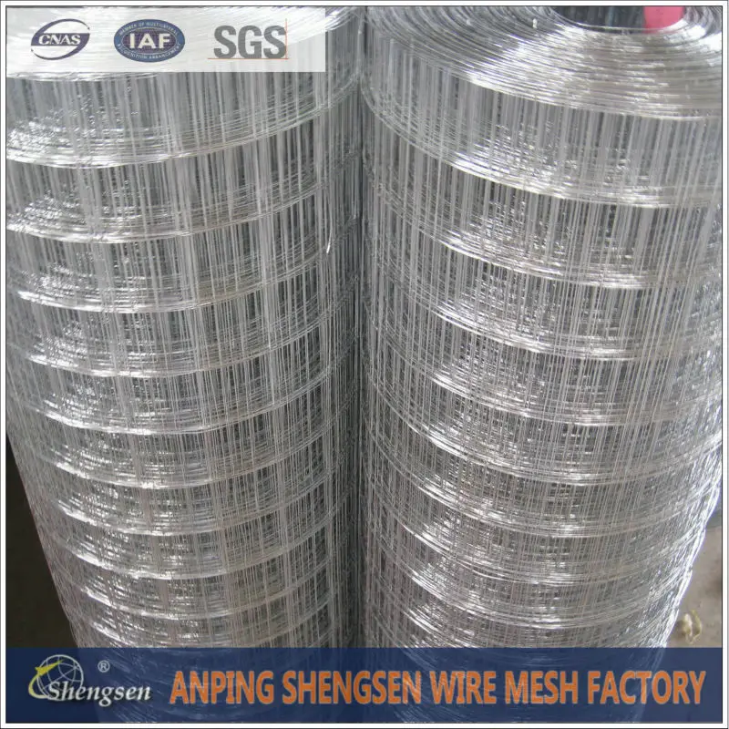 galvanized welded wire mesh