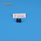 STCERA silicon nitride ceramic bezel structure insert rod