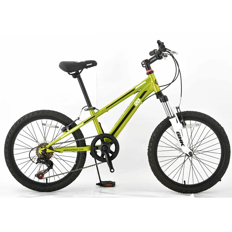 20 inch downhill bike