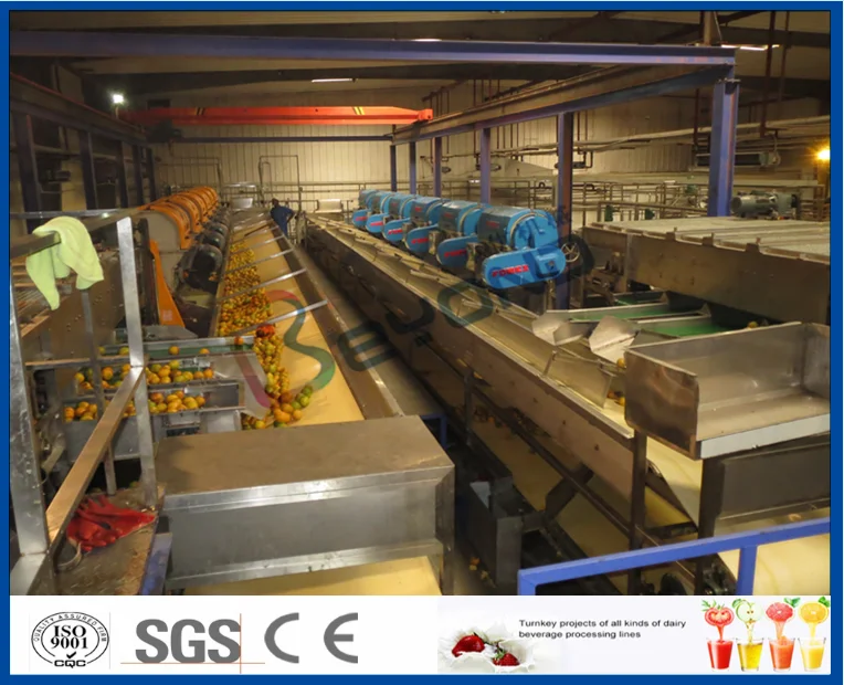 citrus/orange/lemon juice processing line orange processing equipment