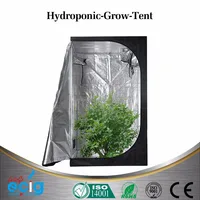 Large Size Home Garden Hydroponic Used