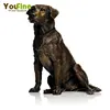 Cast Life Size Bronze Dog Statue
