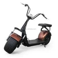2017 New 1000W Electric Motorcle Harley