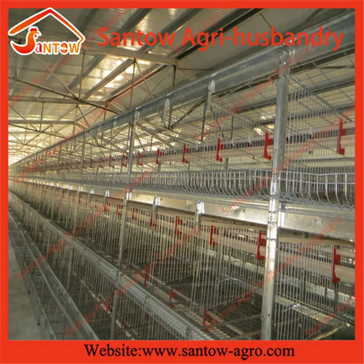 Chicken Cage Chicken Farm Layer Cages For Sale In Zimbabwe Buy