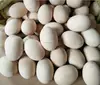 Kitchen Game Toy Unpainted Wooden Eggs Natural Wood Egg for DIY Painting Easter Crafts