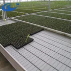 High Quality Agricultural System Flood Table Ebb And Flow Rolling Benches Hydroponic plastic tray/seeding
