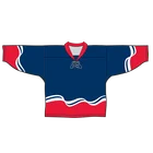 New Design Sublimation Printing Ice Hockey Wear, Hockey Jersey, Hockey Shirts