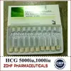 animal hormone sex with sheep/HCG injections pregnancy test
