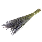 Wholesale High Quality 100g natural flower dried lavender flowers