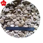 wholesale price frozen oyster mushroom