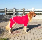 High Quality Pet Clothing Dog Hoodie For Autumn and Winter Warm Pet Clothes For Large Dogs