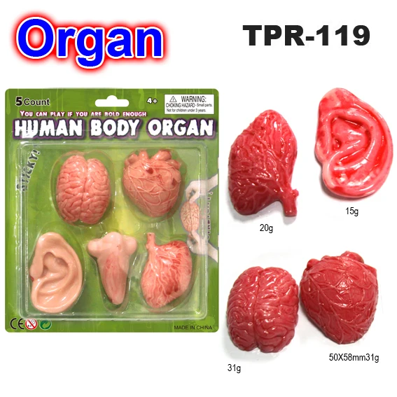 plush body organs