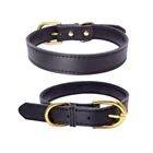 custom leather Pet Training Sublimation Print Luxury Big Dog Collar