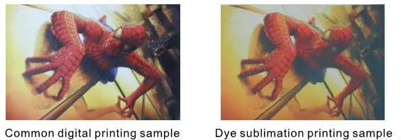 .jpg