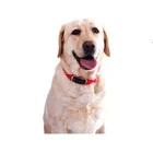 Wholesale pet collars waterproof pet gps tracker , gps dog collar for outdoor position
