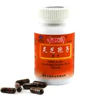 Cancer Treatment 2019 GMP Chinese supplier Bodybuilding Dietary Supplement Ganoderma Lucidum Capsule