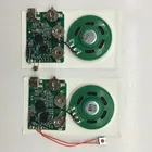 Recordable sound recording module for books