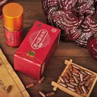 Organic reishi base CCTV broadcasted shell broken reishi spore powder capsule