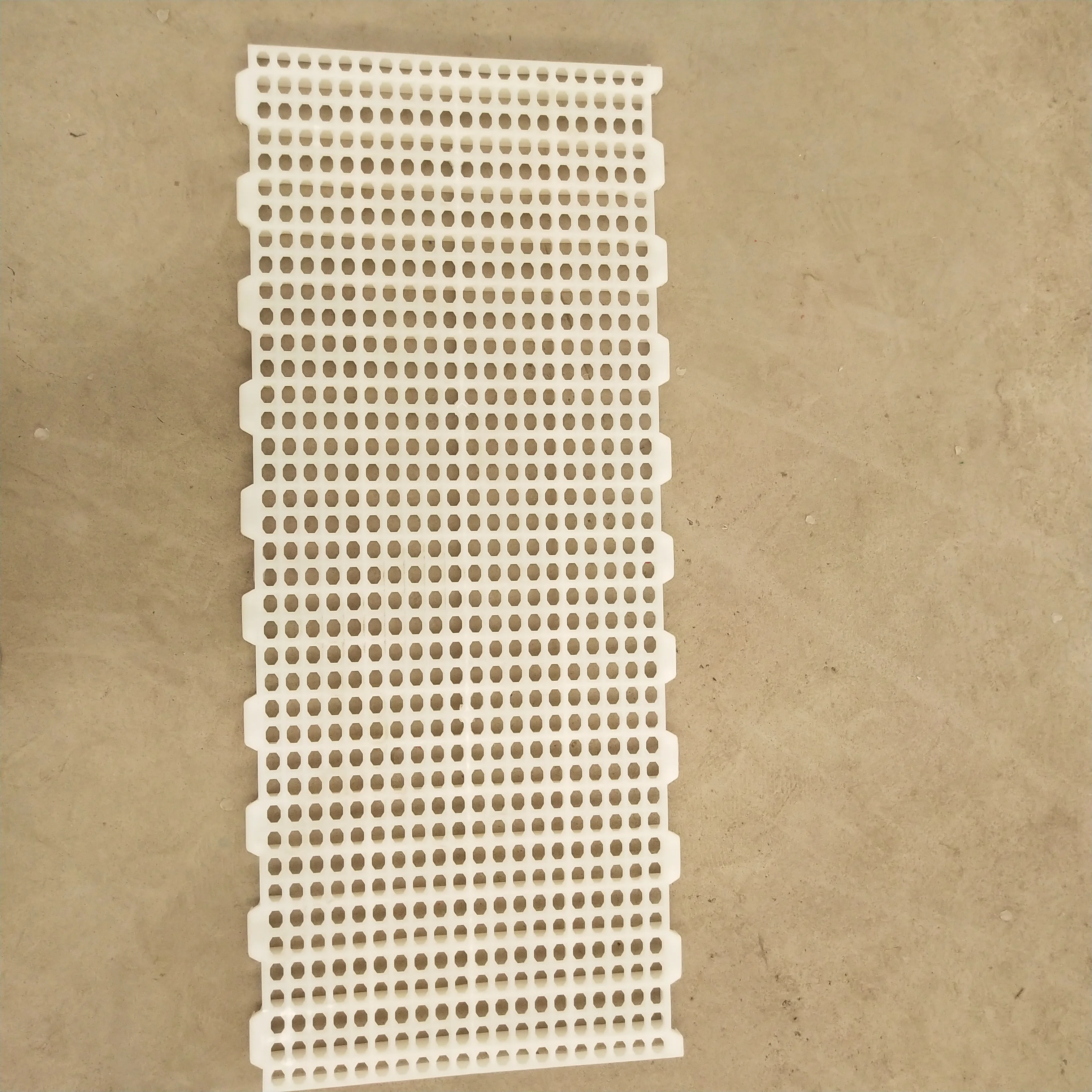 Fotos spanish, Montones de galerías de fotos en Alibaba.com, imagen spanish