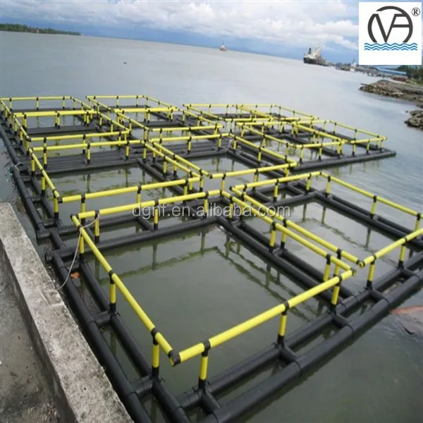 Square Floating Aquaculture Tilapia Fish Farming Cages Made Of Pe Knotless Net Buy Fish