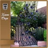 Beautiful Painted Wrought Iron Grilles Design For Front Gate