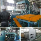 Manufacture Egg Tray China Manufacture Paper Egg Tray Plant Egg Tray Plant