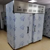 /product-detail/auto-defrost-quick-freezing-cryogenic-blast-freezer-for-fish-meat-62222064299.html