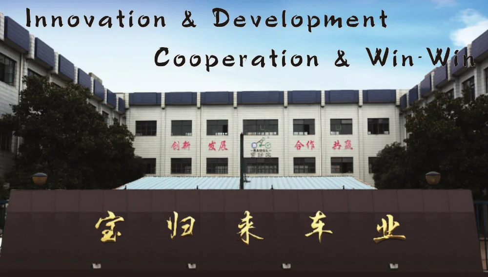 Baogl 12 inch fashion mini folding bike cheap aluminum road bike