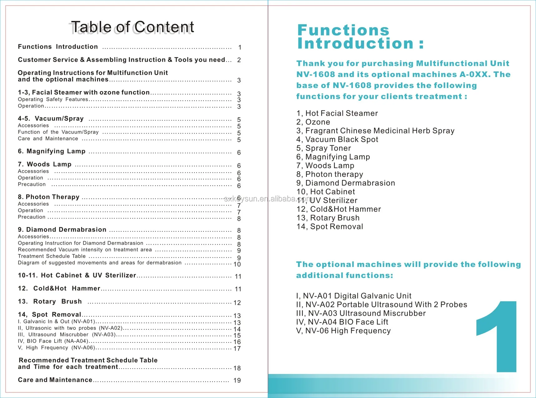 19 in 1 Facial Machine.jpg