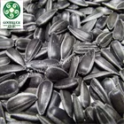 China Companies Organic Black Sunflower Oil Seed in 25kg packets