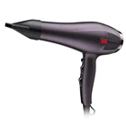 Amazon 2019 Wholesale Professional Salon 2000-2300W Hair dryers