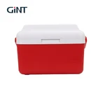 GINT 8L mini medical cooler box for outdoor camping