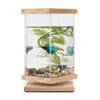 Unique Revolving Desktop 360 Degree Fish Tank with Glass Square Jar - Small Betta Fish Tank Aquarium for Home Office Decoration