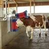 New Design Cow Cleaning Brush For Cattlr Farm