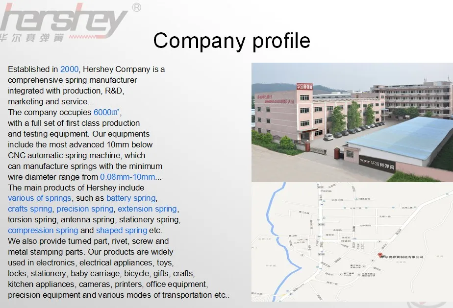 company ddddd.jpg