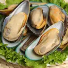 IQF Mussel Frozen Mussel in Shell