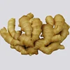 new price of fresh ginger in egypt