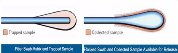 Oral Dental Forensic Testing HIV Swab 2.jpg