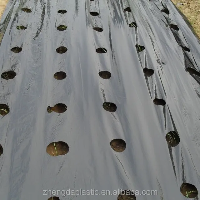 large roll plastic black sliver agriculture mulch film